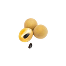 Chickoo (Sapota) 500g