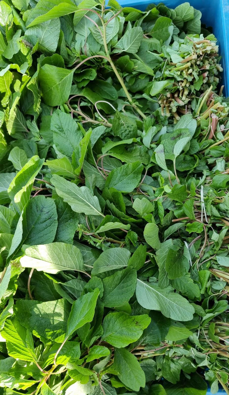 Spinach (Amaranth) Green Leaves 100g