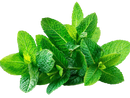 Mint (1 stuck) - Suneetha Foods