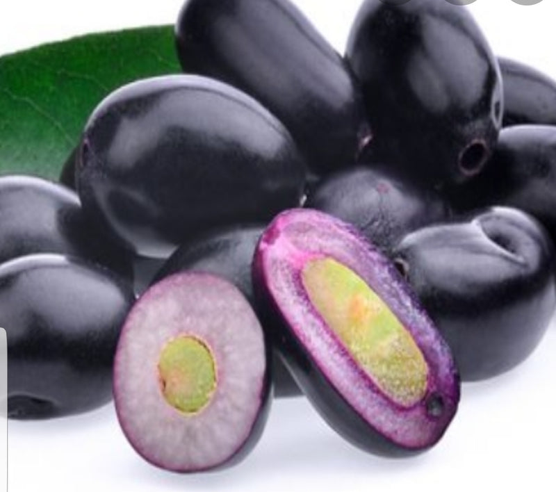 Indian Black Plum (Neredu Pandu) 250gm