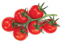 Tomatoes 1 Kg - Suneetha Foods