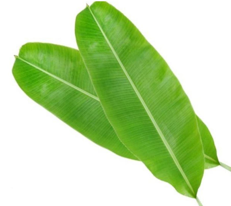 Banana Leaf 1pc