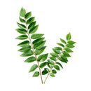 Curry leaves 50g