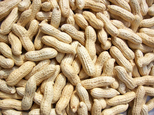 Fresh Peanuts 500gm